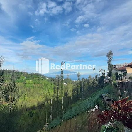 Bromo Indah Lestari Homestay Mitra Reddoorz Пасуруан Экстерьер фото
